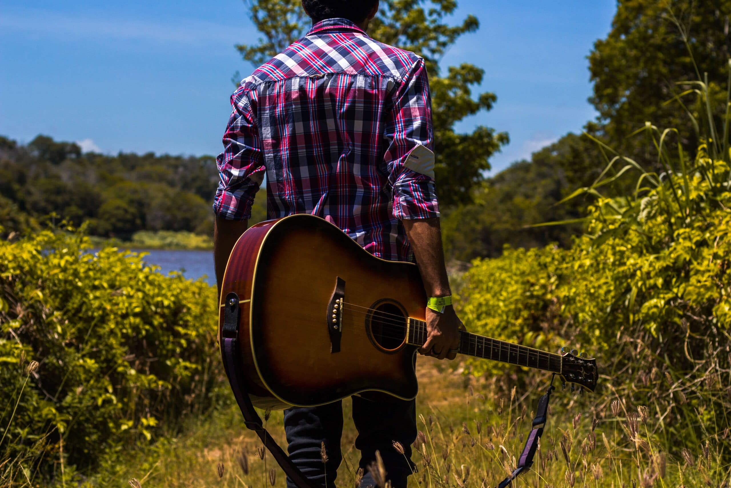 types guitare accoustique